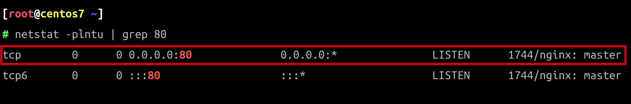 Nginx status check